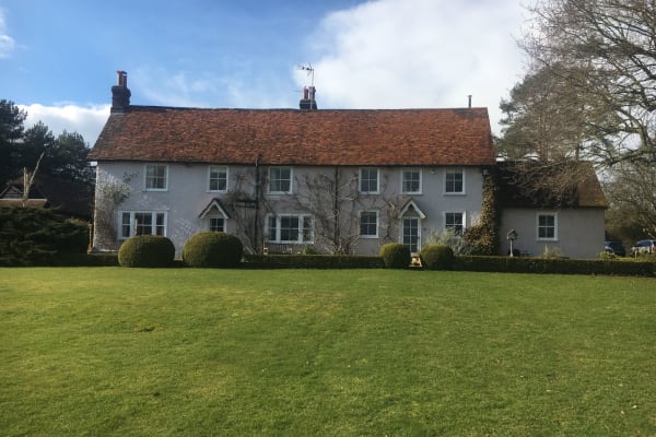 House sit in Royston, United Kingdom