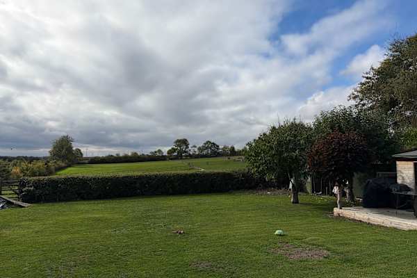 House sit in Thrapston, United Kingdom