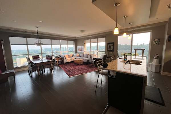 House sit in Guelph, ON, Canada