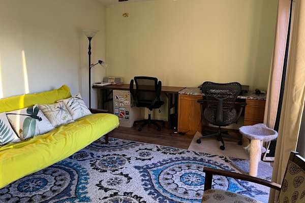 House sit in Fort Myers, FL, US