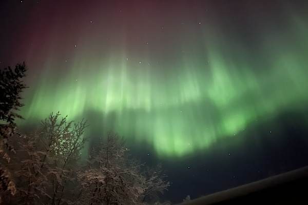 House sit in Fairbanks, AK, US