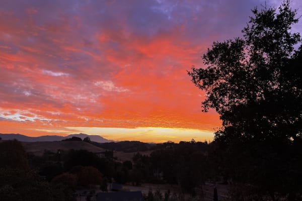 House sit in Healdsburg, CA, US