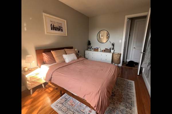 House sit in Brooklyn, NY, US