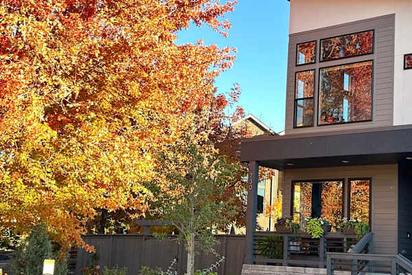 House sit in Louisville, CO, US
