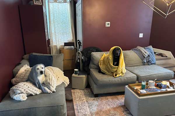 House sit in Riverside, PA, US