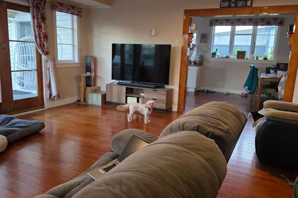 House sit in Whakatane, New Zealand