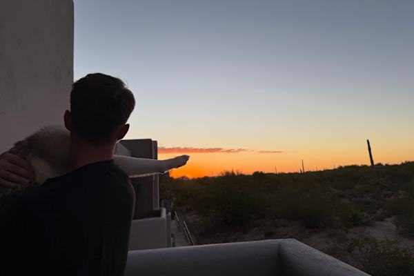 House sit in Marana, AZ, US