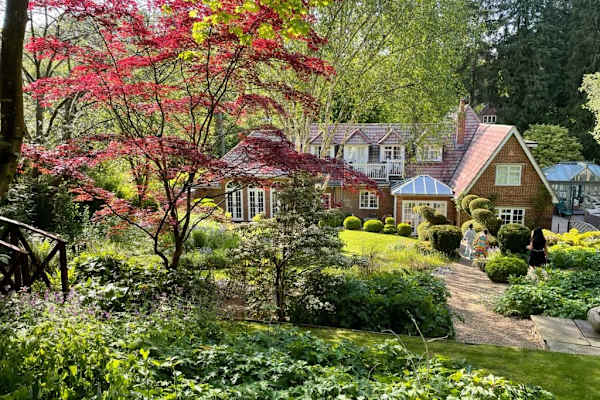 House sit in Alton, United Kingdom