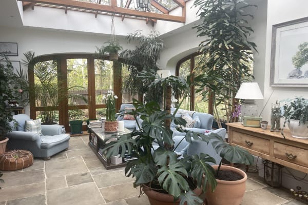 House sit in Alton, United Kingdom