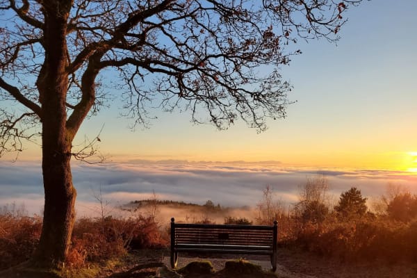 House sit in Ewhurst, United Kingdom