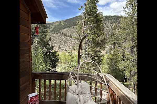House sit in Conifer, CO, US
