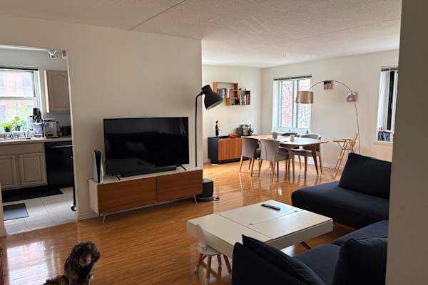 House sit in New York City, NY, US