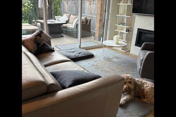 House sit in Vancouver, BC, Canada