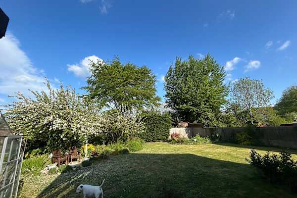 House sit in Wantage, United Kingdom