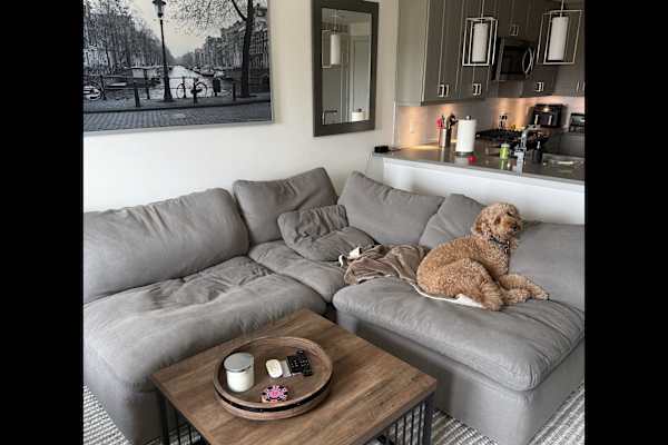 House sit in Austin, TX, US