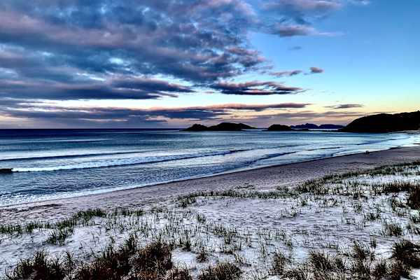 House sit in Whangarei Heads, New Zealand
