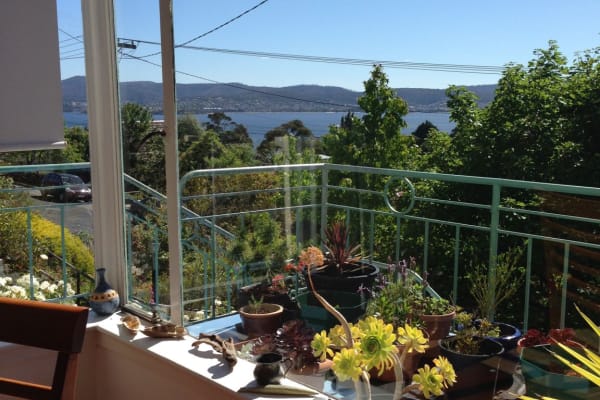 House sit in Hobart CBD, TAS, Australia