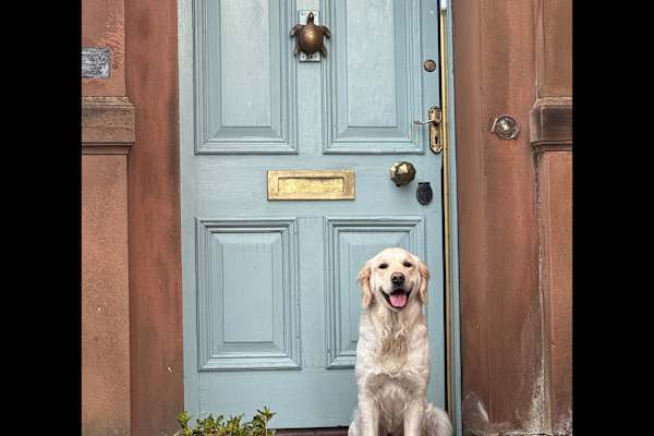 House sit in Dumfries, United Kingdom