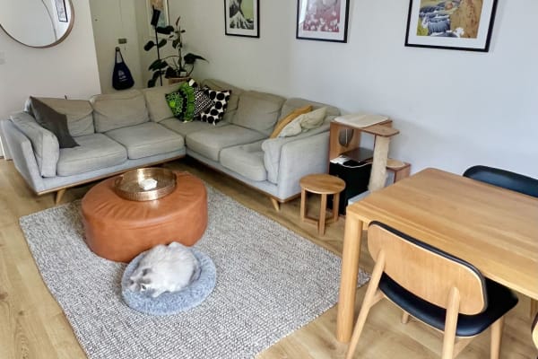 House sit in Sydney, NSW, Australia