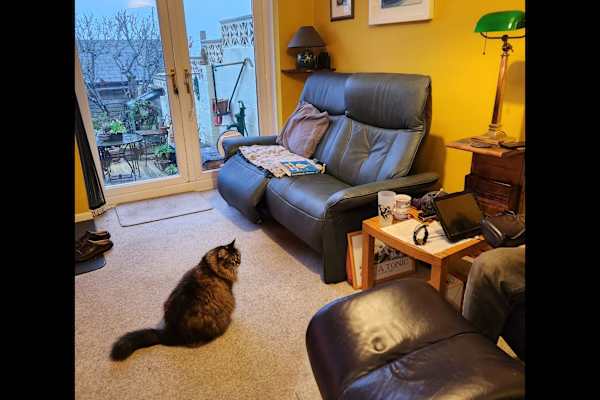 House sit in Totnes, United Kingdom