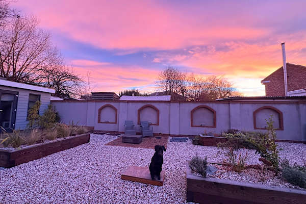 House sit in Flitwick, United Kingdom