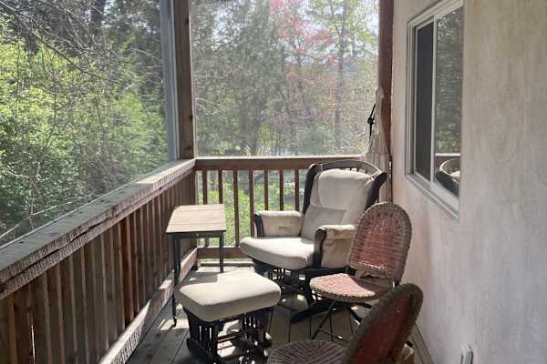 House sit in Carrboro, NC, US