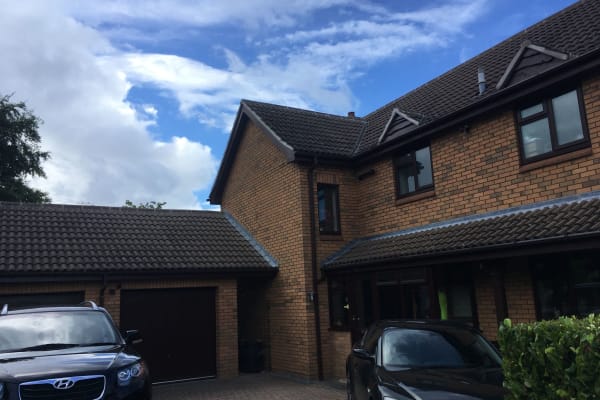 House sit in Cheltenham, United Kingdom