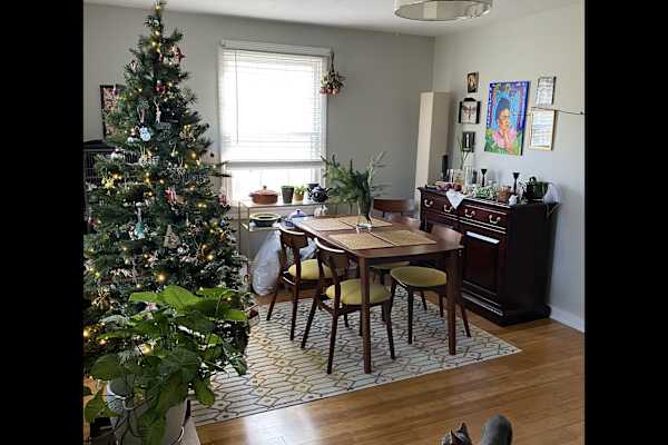 House sit in Nashville, TN, US