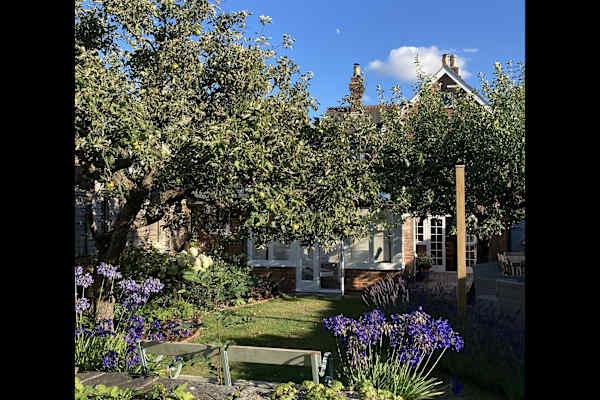 House sit in Lymington, United Kingdom