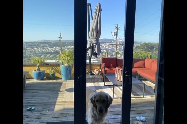 House sit in San Francisco, CA, US