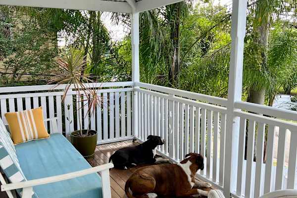 House sit in Brisbane, QLD, Australia