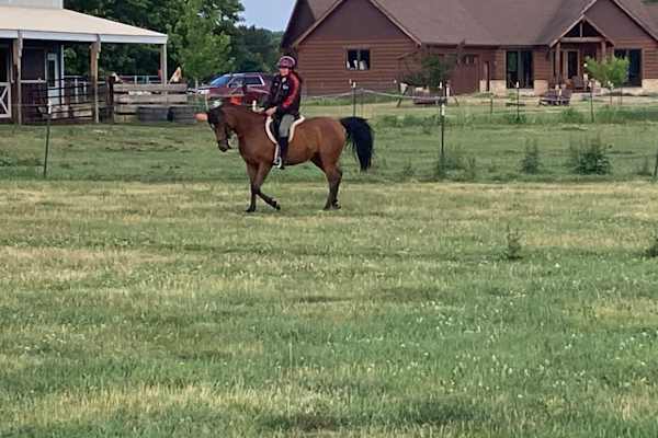 House sit in Amherst, WI, US