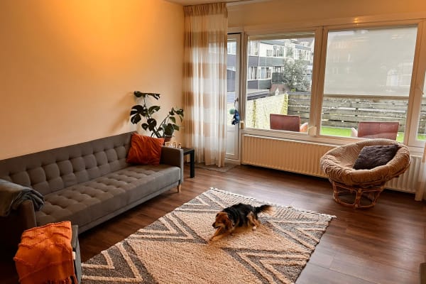 House sit in Apeldoorn, Netherlands