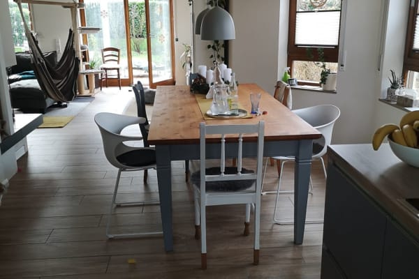 House sit in Karlsruhe, Germany