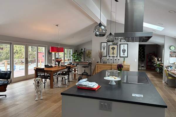 House sit in Boston, MA, US