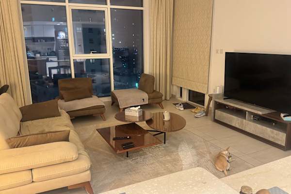 House sit in Abu Dhabi, United Arab Emirates