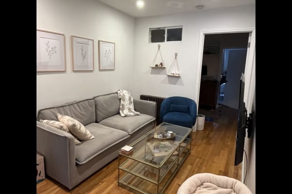 House sit in Bushwick, NY, US