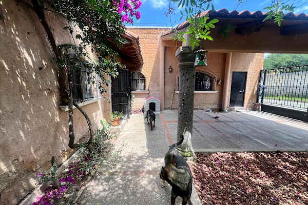 House sit in San Miguel de Allende, Mexico