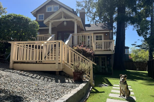 House sit in Mill Valley, CA, US