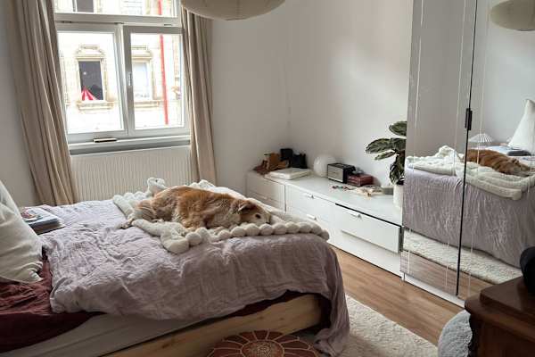 House sit in Nürnberg, Germany