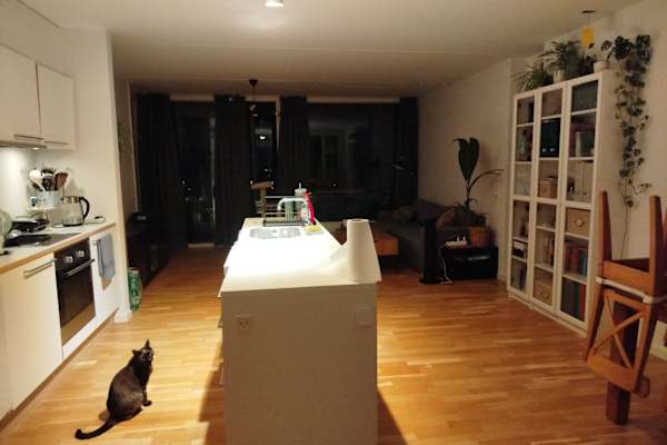 House sit in Vallensbæk, Denmark