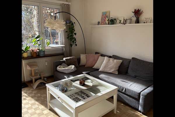 House sit in Bern, Switzerland