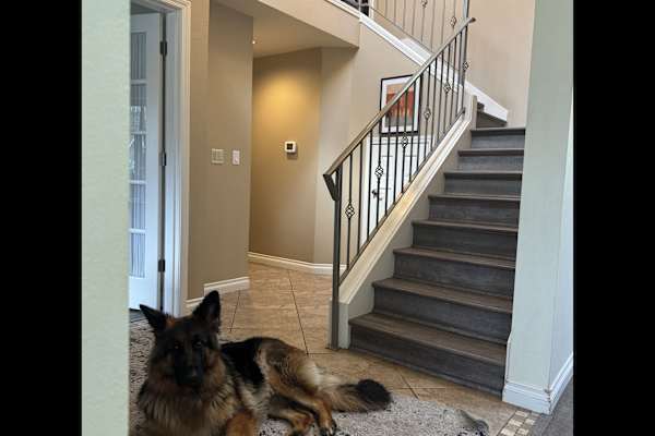 House sit in Bonney Lake, WA, US