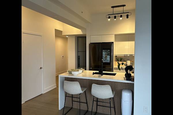 House sit in Toronto, ON, Canada