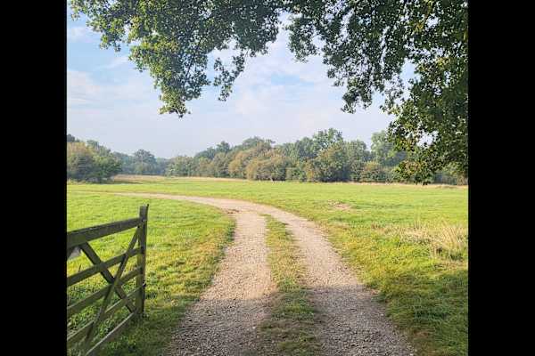 House sit in Bishops Stortford, United Kingdom