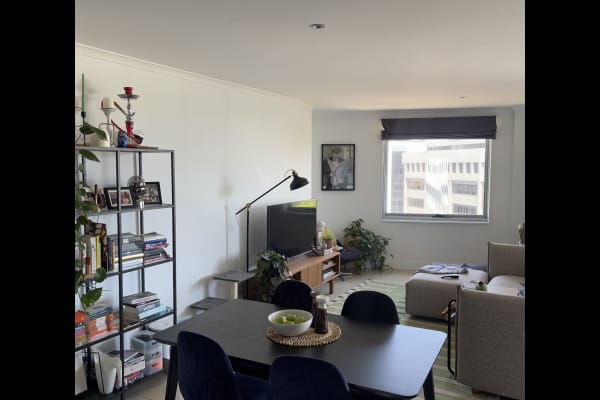 House sit in Canberra, Australian Capital Territory, Australia