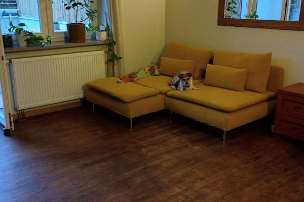House sit in Warsaw, Poland