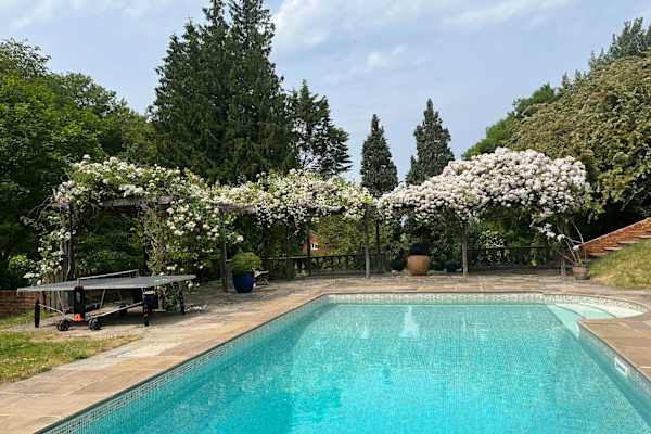 House sit in Kings Somborne, United Kingdom