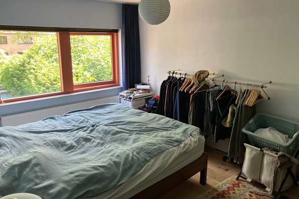 House sit in Leiderdorp, Netherlands