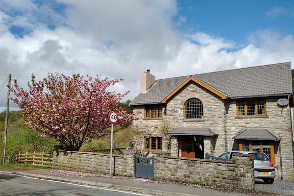 House sit in Neath, United Kingdom